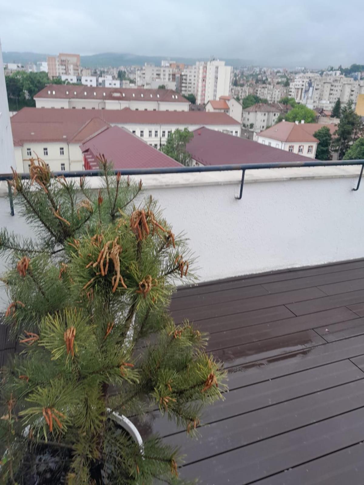 Ferienwohnung Cristinco Panoramic Cluj-Napoca Exterior foto